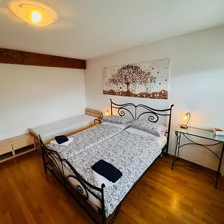 Casa Zarabara Pensionat Arta Terme